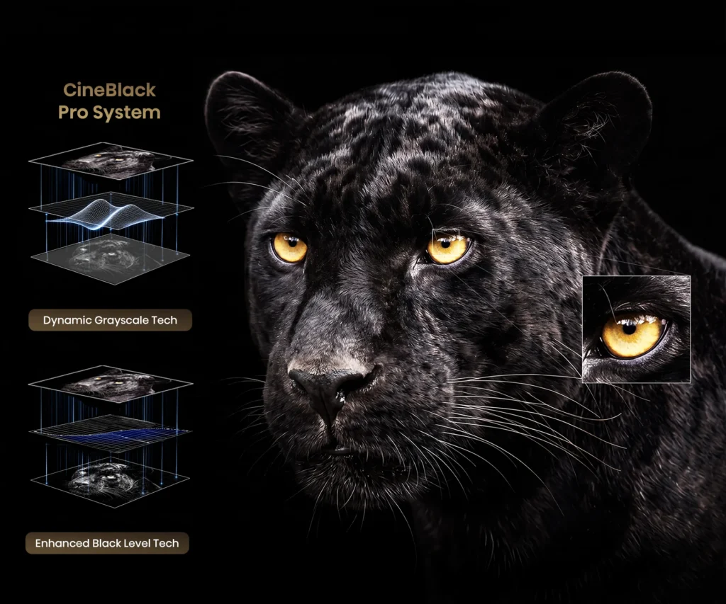 cineblack pro system